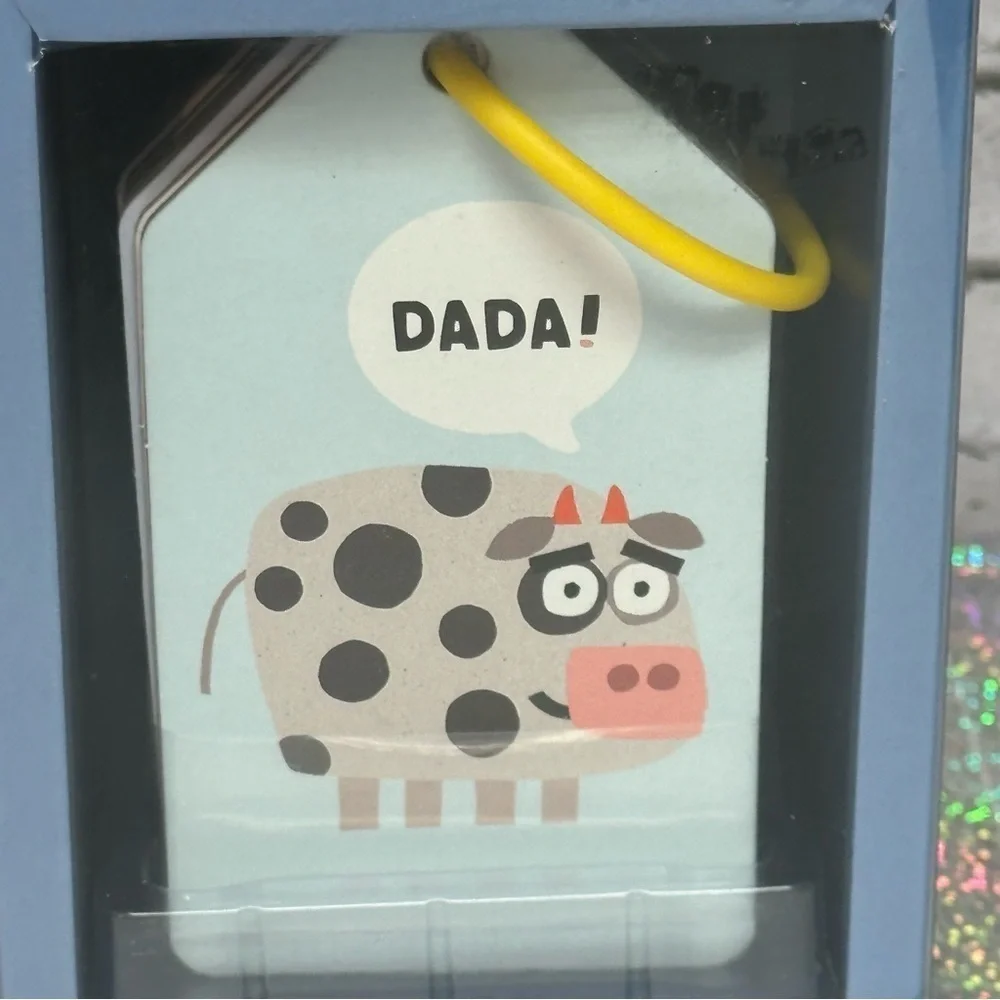 Everything Is Mama! DADA! Double Sided Flash Cards Jimmy Fallon Lot of 2 NEW